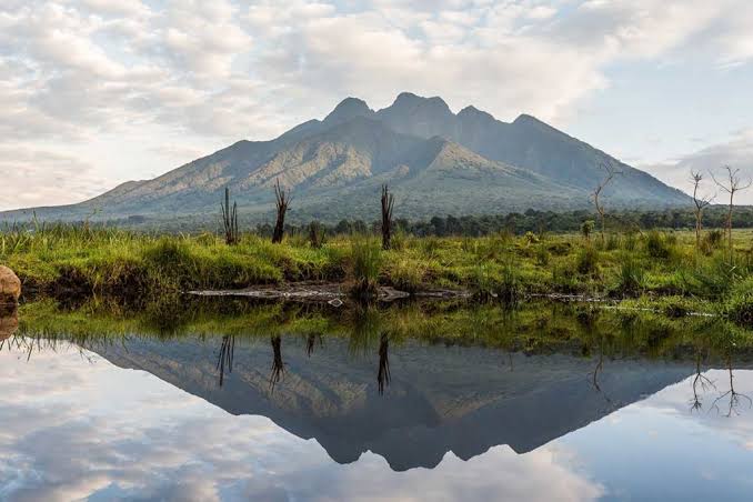 Volcanoes National Park, Rwanda